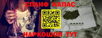 spice Кунгур
