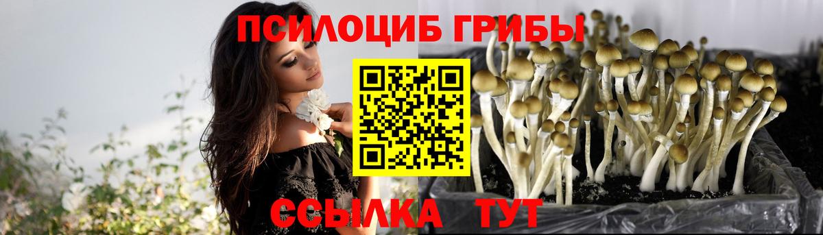 дарнет шоп  Псилоцибиновые грибы мухоморы  Вход с VPN  Армавир 