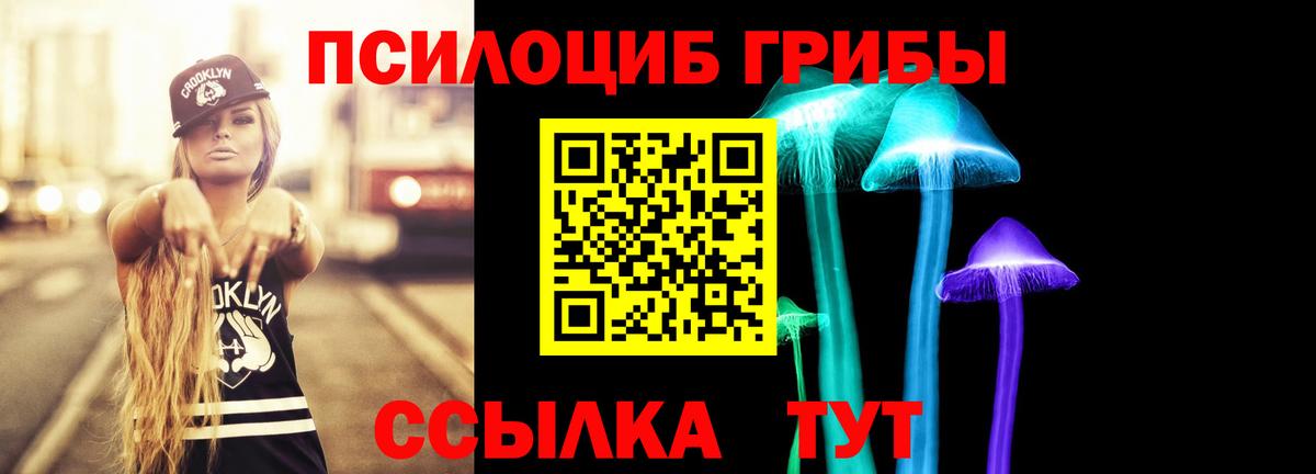 Галлюциногенные грибы GOLDEN TEACHER Армавир
